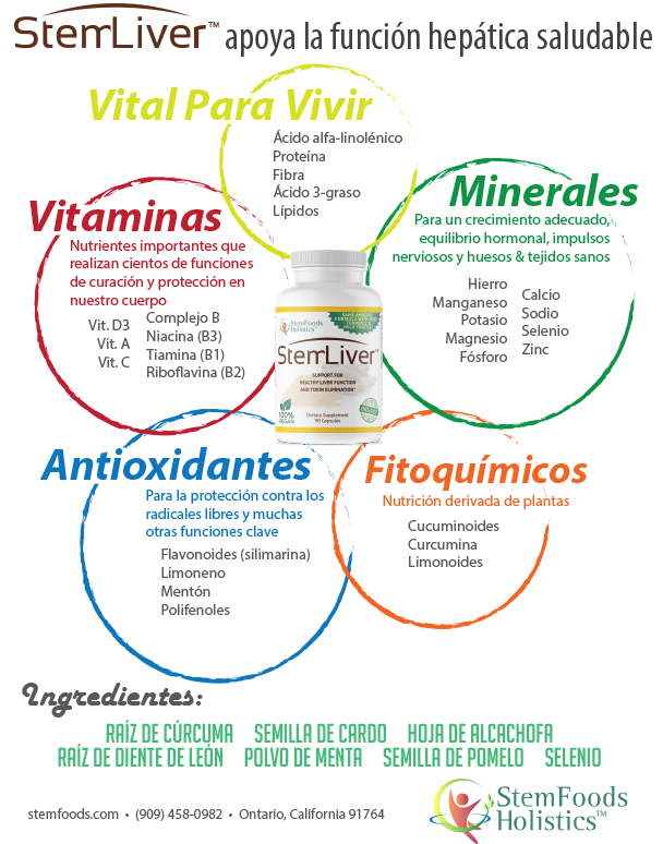 StemLiver flyer