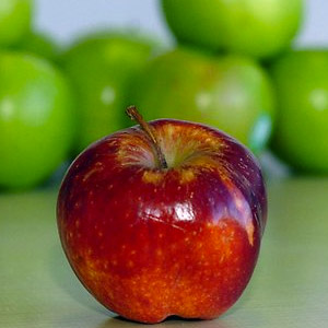 Apple Fruit Extract (Pyrus malus)