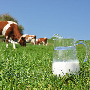 Colostrum (non-GMO)