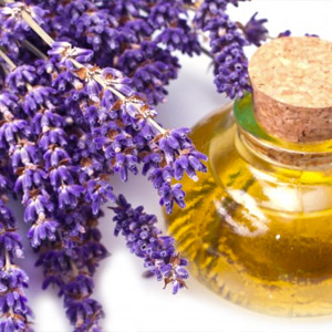 Lavender – USDA Certified Organic