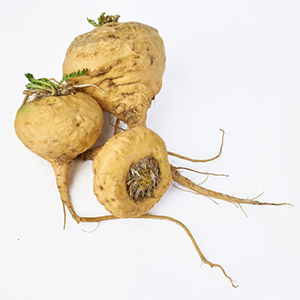 Organic maca root