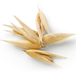 Hierba de paja de avena orgánica